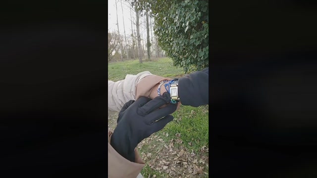 nous337  05-02-2023